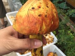 -爱膳菌锅锅(阳南店)