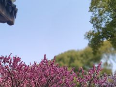 -无锡梅园公园