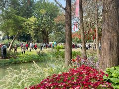 -人民公园(罗湖区)