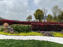 -牛首山文化旅游区