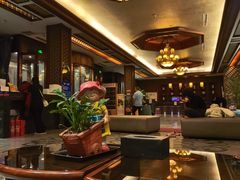 -水木谷养生水汇