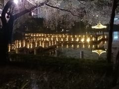 -南宁南湖公园