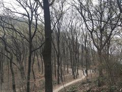 -南京老山国家森林公园
