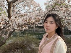 -樱花山风景区