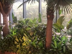 -上海虹桥西郊假日酒店