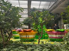 -南宫五洲植物乐园