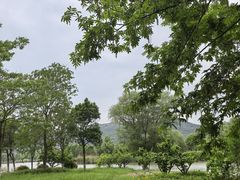 -长广溪湿地公园