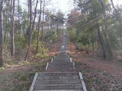 -青龙山国家森林公园