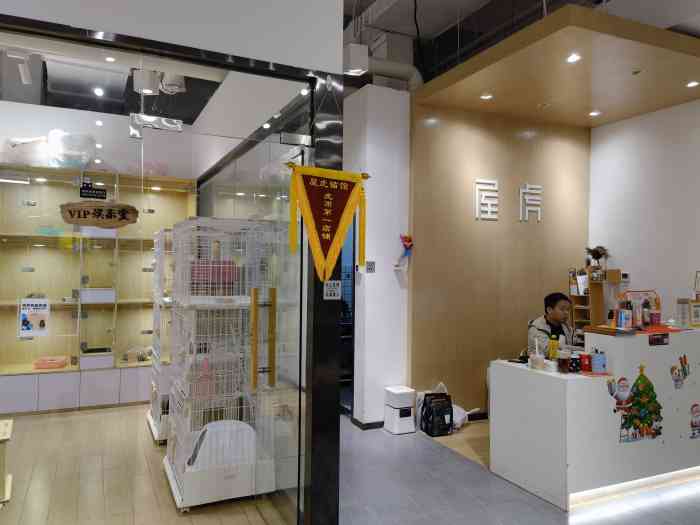 屋虎猫馆(南山云城万科里店)-"【项目】宠物摄影 | 其他在这里闲逛,.