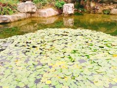-秀丽东方