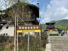 -大唐贡茶院