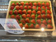 -茉酸奶(高科山姆店)