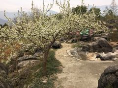 -佛爷洞旅游景区