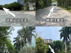 -深圳国际园林花卉博览园