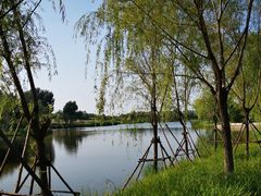 -东郊湿地公园