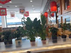 -大清花饺子(山庄店)