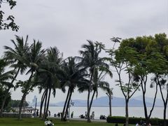 -深圳湾公园(南山区)