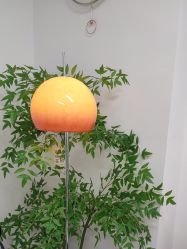 -变美丽半永久纹眉连锁·机器野生眉·洗眉
