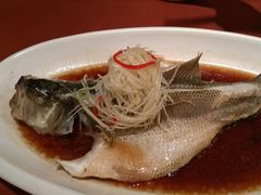 清蒸鲈鱼-西安阳光国际大酒店·中餐厅