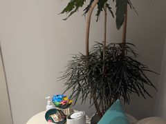 -上海静和门诊部