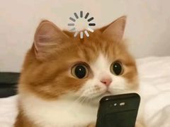 -葛记焖饼(经一路店)