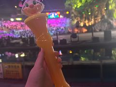 -广州长隆国际大马戏