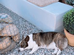 -自由生长植物工作室(深港花卉中心店)