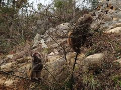 -重庆云阳龙缸景区