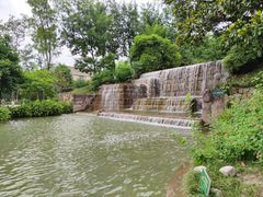 -成飞公园