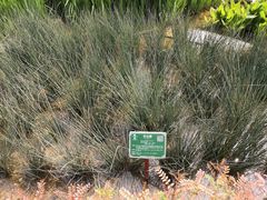 -广西壮族自治区药用植物园