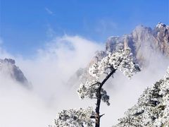 -黄山风景区