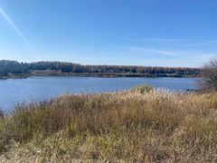 -塞罕坝国家级自然保护区