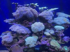 -江和美海洋公园