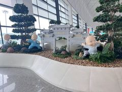 -郑州新郑国际机场-T2航站楼