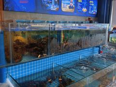 -蓝珊甄选海鲜自助·火锅大排档(近阿那亚店)