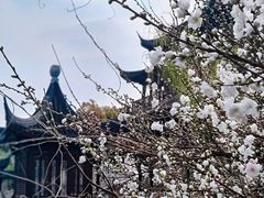 -盘门景区