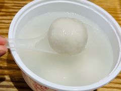 -海丝金凤(金鱼店)