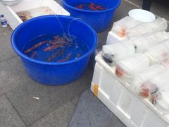 -华声天桥民俗文化园