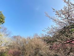 -杭州植物园