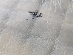 -阿毛方糕(七宝镇步行街店)