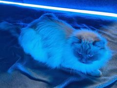 -零纪元VR体验馆·桌游(黄浦店)