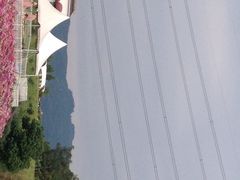 紫颐·香薰山谷-紫颐香薰山谷景区