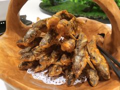 -丹江渔村(望京店)