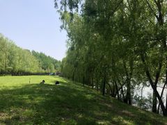 -长白岛森林公园