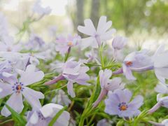 -南通洲际绿博园