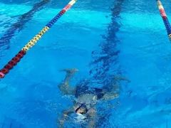 -重庆市奥林匹克体育中心-游泳跳水馆