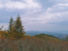 -苏木山森林公园