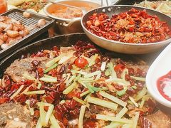 -老板恋上鱼(高新万达店)