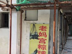 -老妈宫粽球