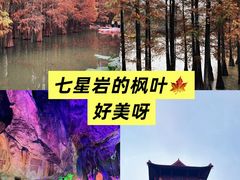-鼎香皇高佬苏裹蒸粽